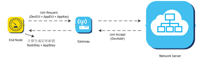 Commercial LoRaWAN networks