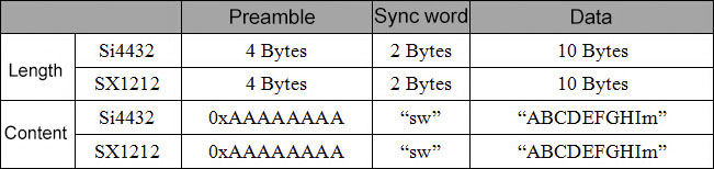 Table 6: Test Packet Format
