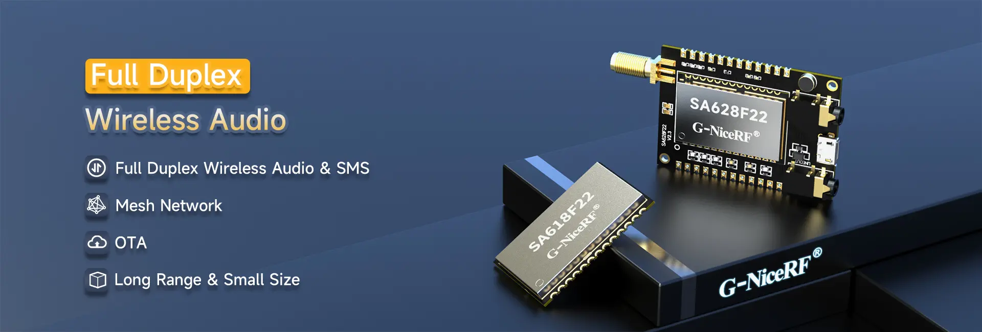 Wireless Audio Module