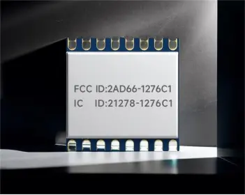 Wireless Audio Transmission Module