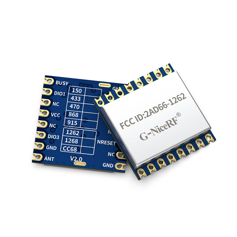 LoRa1262-915 : FCC ID Certified SX1262 915MHz LoRa Module With ESD Protection
