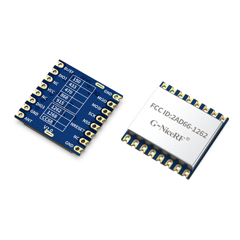 LoRa1262-915 : FCC ID Certified SX1262 915MHz LoRa Module With ESD Protection