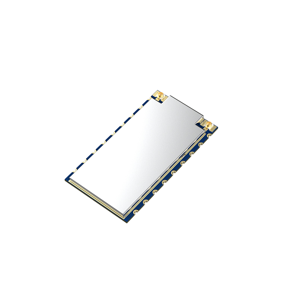 LoRa1121F33-1G9：High-Power Wireless Communication Module