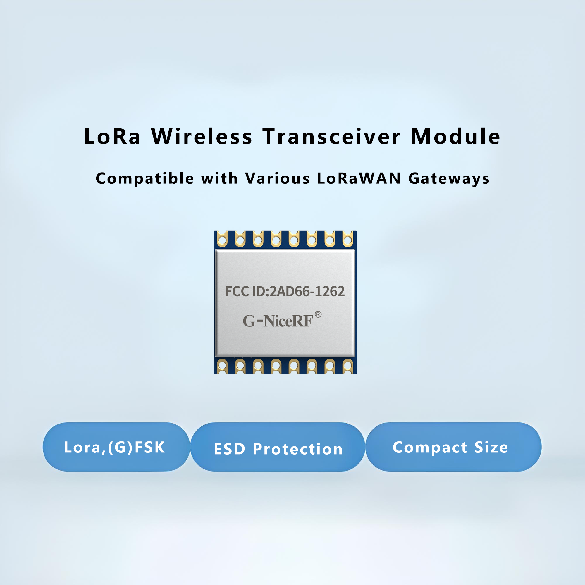 Wireless Meter Reading Solution: A High-Stability, Low-Power Remote Meter Reading System Based on LoRa